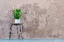 unsplash_ouqmMLghHr0_peace lily.jpg.webp