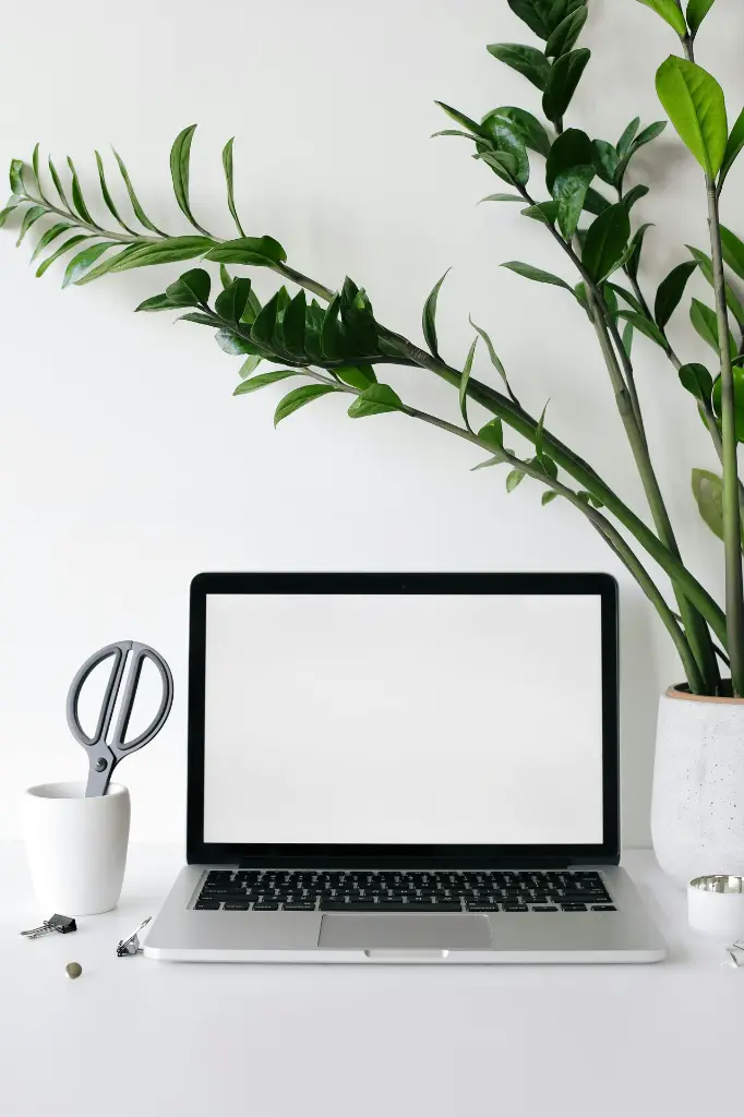 pexels-annpoan-5797997.webp