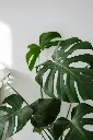 pexels-cottonbro-5858235.webp