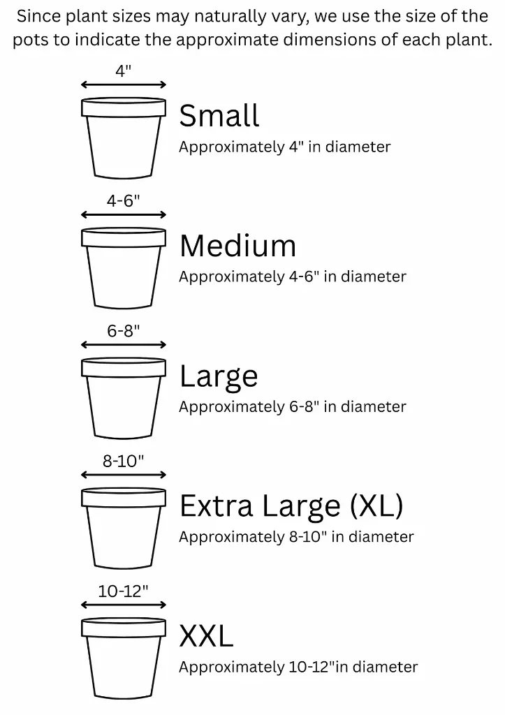 Vaatavaran Size Guide.webp