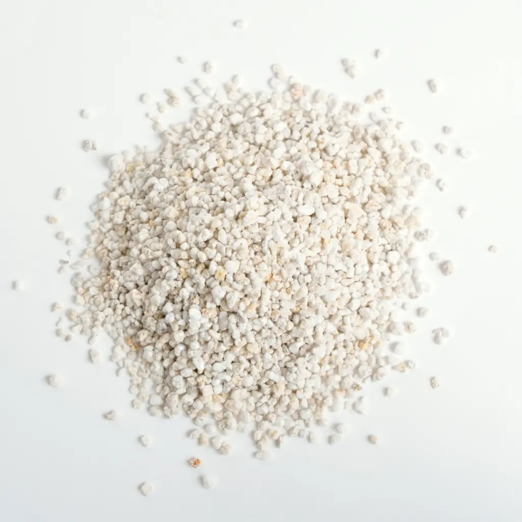 Perlite-for-Potting-Mix-Succulents.webp