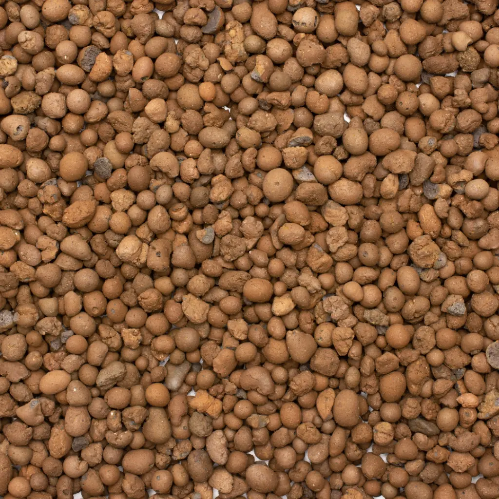 Clay Balls (LECA Balls) - (8-15 MM Size) Round.webp