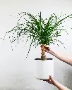 feey-CU5E8ogHmuY-unsplash.webp