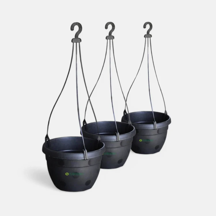 Hanging Basket (Pack of 3)