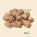 Clay Balls (LECA Balls) - (8-15 MM Size) Round