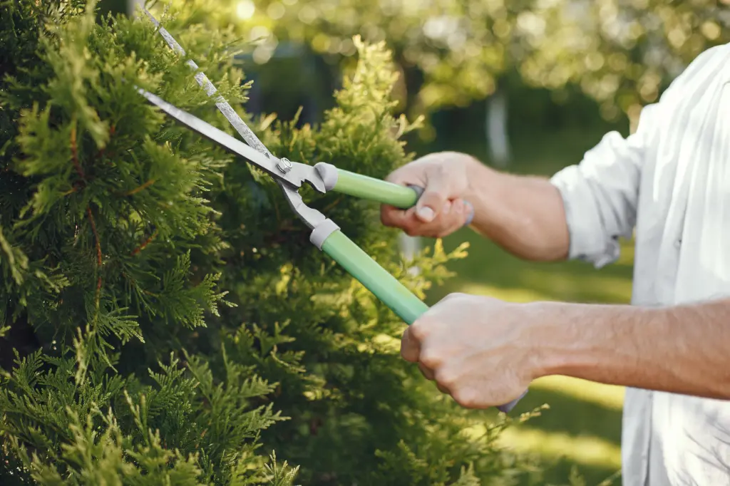 Plant Maintenance