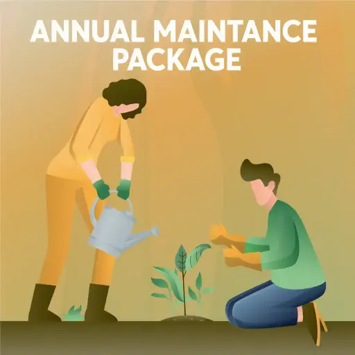 Annual Maintenance Package 