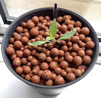 Leca Balls